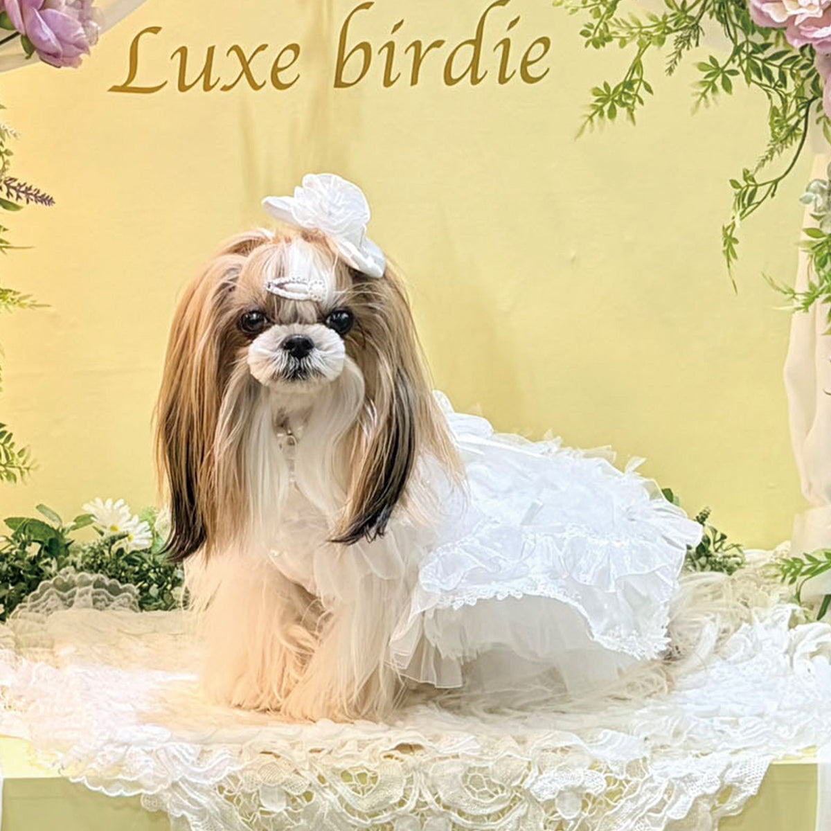NEW】シュロードレス – Luxebirdie