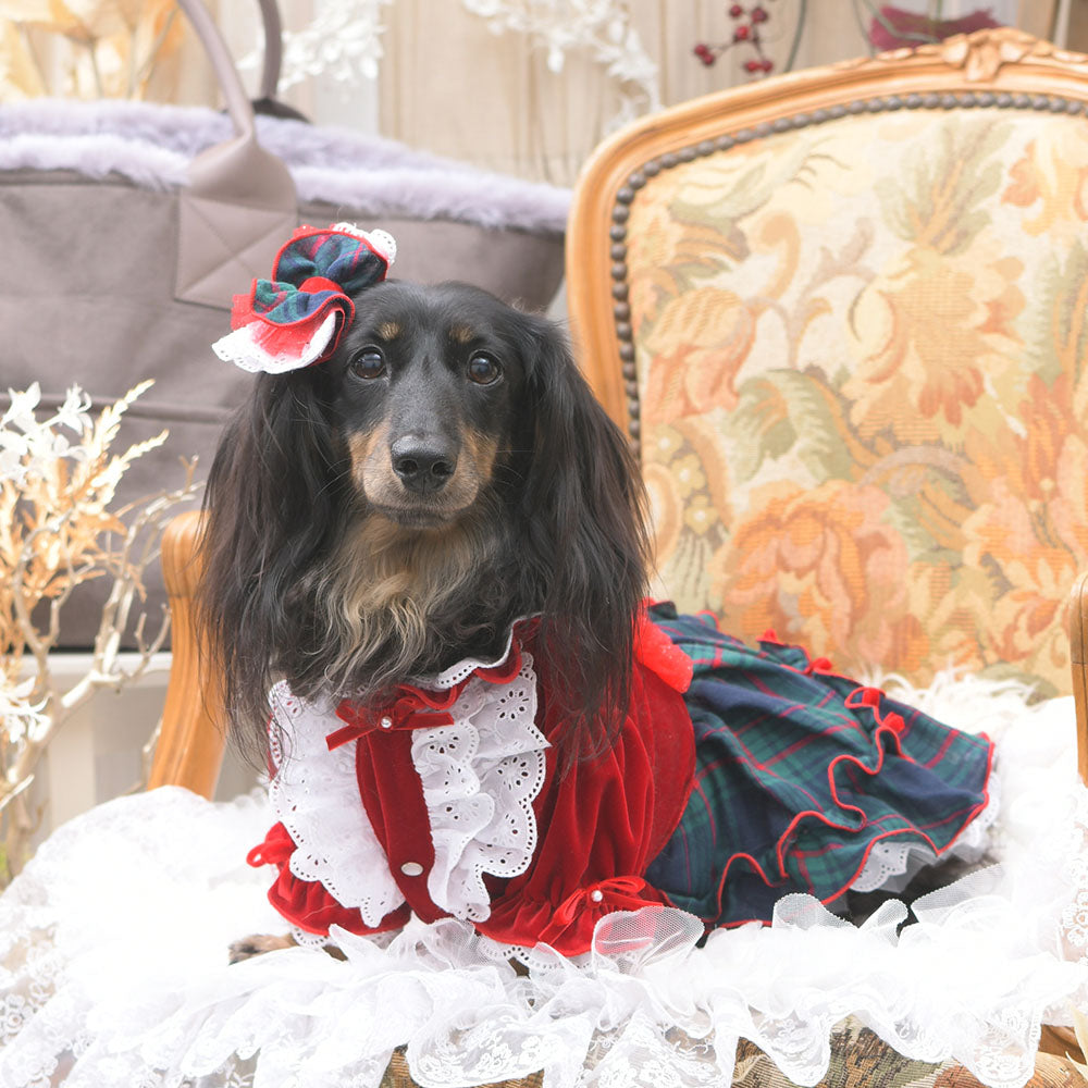 luxebirdie リュクスバーディ アイナワンピース L 楽天市場】[サイズ:SS/S/M/L] アイナワンピース LUXEBIRDIE リュクス