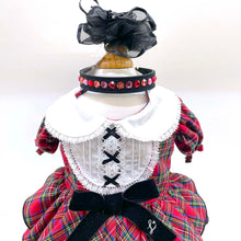 画像をギャラリービューアに読み込む, エペグランカラー 25