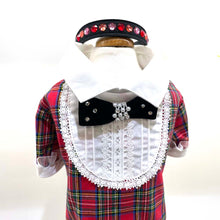 画像をギャラリービューアに読み込む, エペグランカラー 25