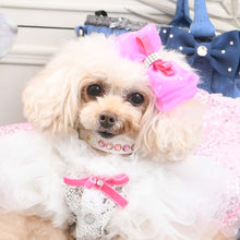 画像をギャラリービューアに読み込む, エペグランカラー 21