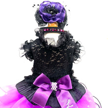 画像をギャラリービューアに読み込む, エペグランカラー 21