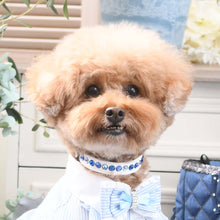 画像をギャラリービューアに読み込む, エペグランカラー 21