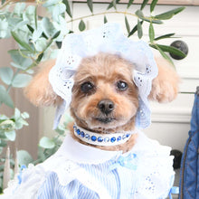 画像をギャラリービューアに読み込む, エペグランカラー 21