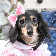 画像をギャラリービューアに読み込む, エペグランカラー 21