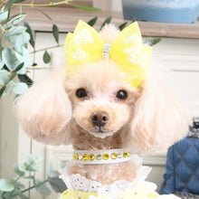 画像をギャラリービューアに読み込む, エペグランカラー 21