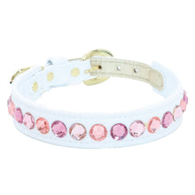 画像をギャラリービューアに読み込む, エペグランカラー 21