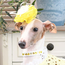 画像をギャラリービューアに読み込む, エペグランカラー 21