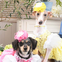 画像をギャラリービューアに読み込む, エペグランカラー 21