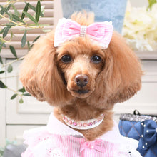 画像をギャラリービューアに読み込む, エペグランカラー 21