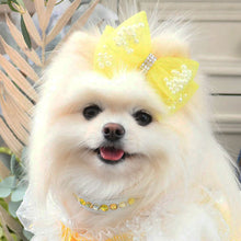 画像をギャラリービューアに読み込む, エペグランカラー 21