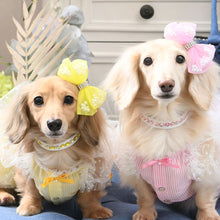 画像をギャラリービューアに読み込む, エペグランカラー 25