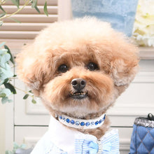 画像をギャラリービューアに読み込む, エペグランカラー 25