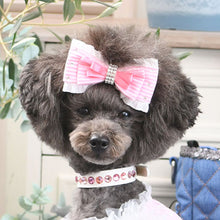 画像をギャラリービューアに読み込む, エペグランカラー 21