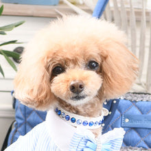 画像をギャラリービューアに読み込む, エペグランカラー 21