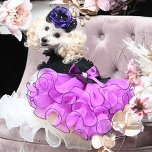 画像をギャラリービューアに読み込む, エペグランカラー 21