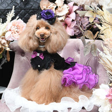 画像をギャラリービューアに読み込む, エペグランカラー 25