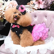 画像をギャラリービューアに読み込む, エペグランカラー 21