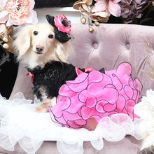 画像をギャラリービューアに読み込む, エペグランカラー 25