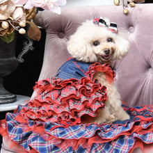 画像をギャラリービューアに読み込む, エペグランカラー 21