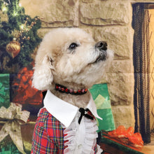 画像をギャラリービューアに読み込む, エペグランカラー 21