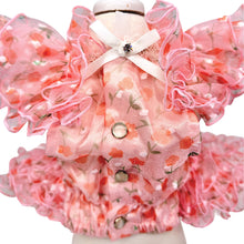 画像をギャラリービューアに読み込む, 【NEW】エール・ダンジュドレス