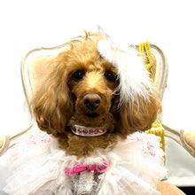 画像をギャラリービューアに読み込む, エペグランカラー 25