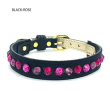 画像をギャラリービューアに読み込む, エペグランカラー 25