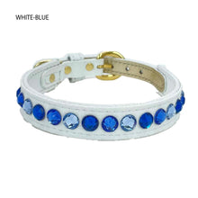 画像をギャラリービューアに読み込む, エペグランカラー 21