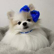 画像をギャラリービューアに読み込む, エペグランカラー 25