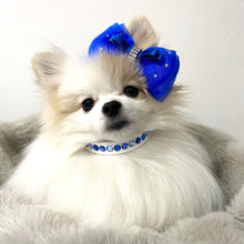 画像をギャラリービューアに読み込む, エペグランカラー 21