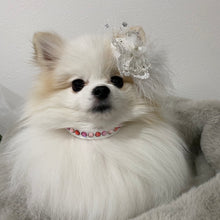 画像をギャラリービューアに読み込む, エペグランカラー 25