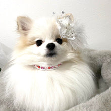 画像をギャラリービューアに読み込む, エペグランカラー 21