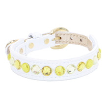 画像をギャラリービューアに読み込む, エペグランカラー 21