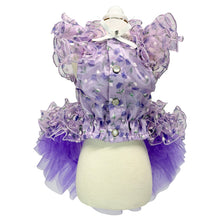 画像をギャラリービューアに読み込む, 【NEW】エール・ダンジュドレス