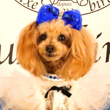 画像をギャラリービューアに読み込む, エペグランカラー 21