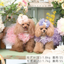 画像をギャラリービューアに読み込む, 【NEW】エール・ダンジュドレス