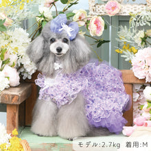 画像をギャラリービューアに読み込む, 【NEW】エール・ダンジュドレス