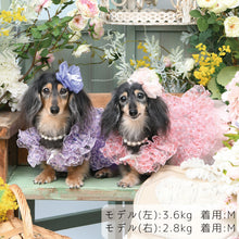 画像をギャラリービューアに読み込む, 【NEW】エール・ダンジュドレス