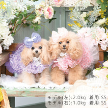 画像をギャラリービューアに読み込む, 【NEW】エール・ダンジュドレス