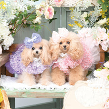 画像をギャラリービューアに読み込む, 【NEW】エール・ダンジュドレス