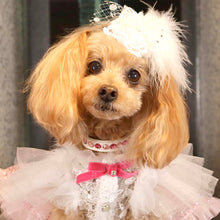 画像をギャラリービューアに読み込む, エペグランカラー 25