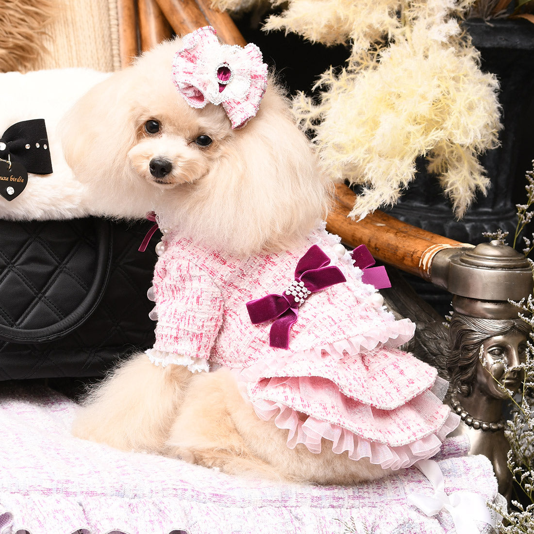 luxebirdieアデルS ワンピジャケットバレッタ3点セットリュクスバーディ SALE80%OFF】アデルジャケット – Luxebirdie