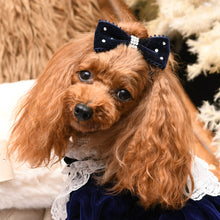 画像をギャラリービューアに読み込む, 【NEW COLOR】デビュタントバレッタ