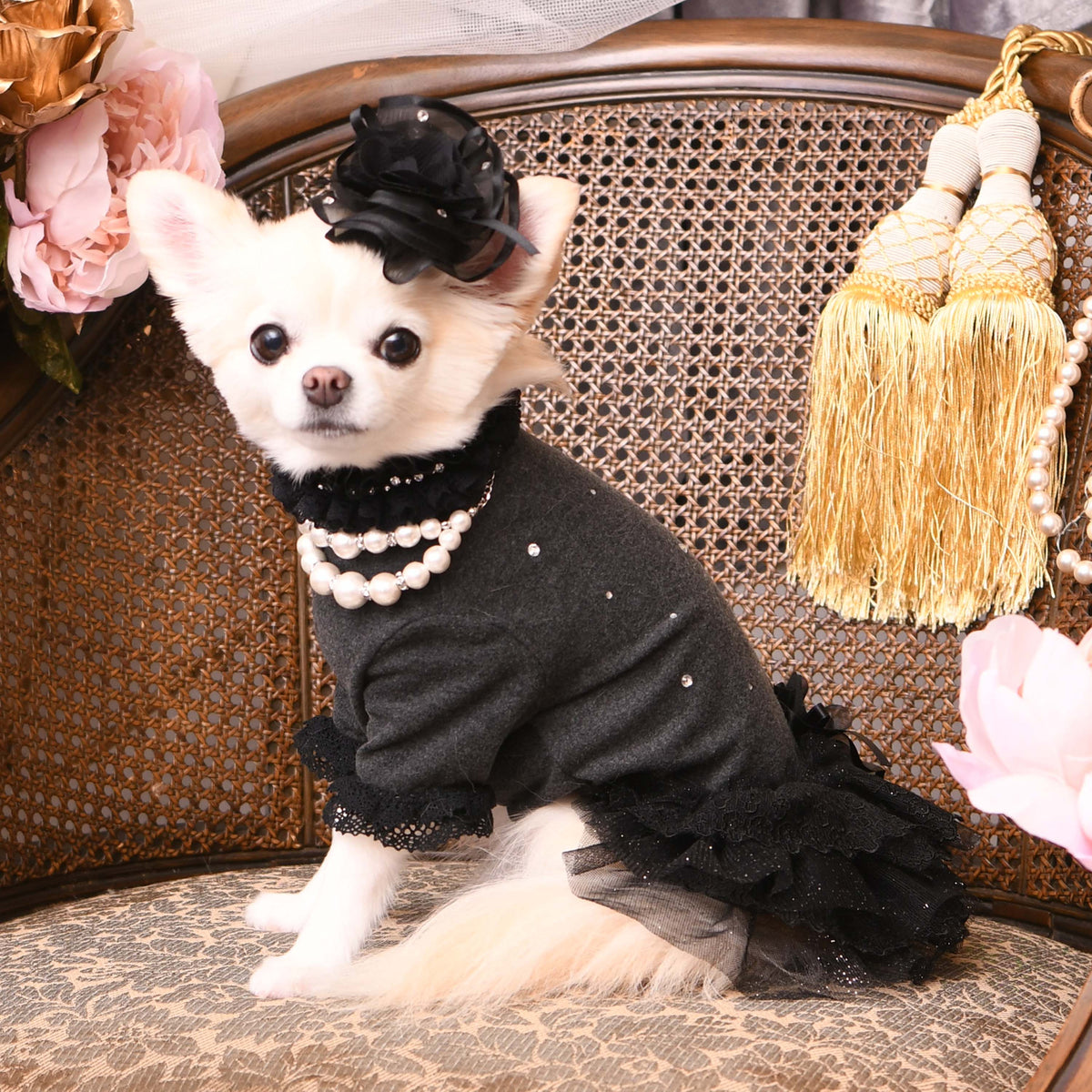 リュクスバーディ　モンシェリチュチュ　完売　ホワイト　Mサイズ SALE70%OFF】モンシェリチュチュ – Luxebirdie