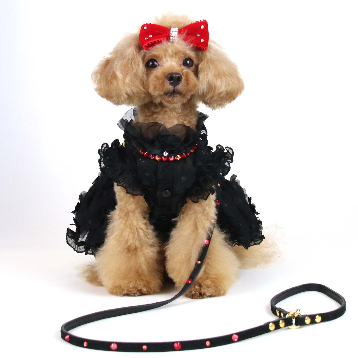 犬のリード Luxe birdie グランマルチリード リュクスバーディ 18日はポイント3倍!!リュクスバーディ Luxe birdie