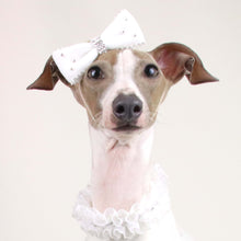 画像をギャラリービューアに読み込む, 【NEW COLOR】デビュタントバレッタ