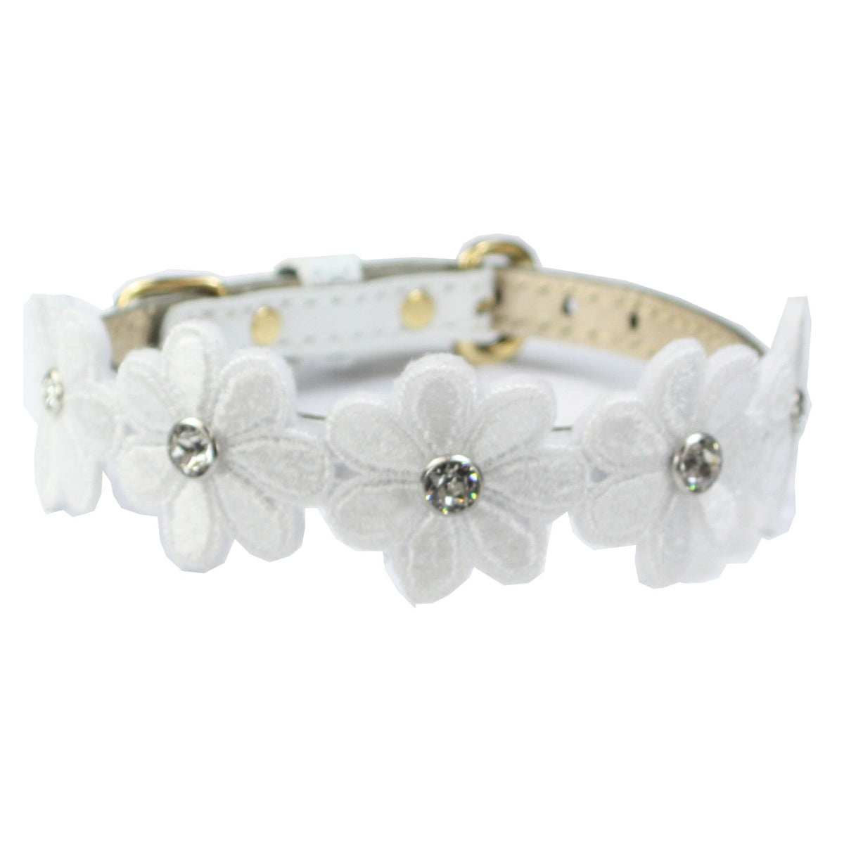 プリシラカラー 25 – Luxebirdie