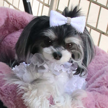 画像をギャラリービューアに読み込む, 【NEW COLOR】デビュタントバレッタ