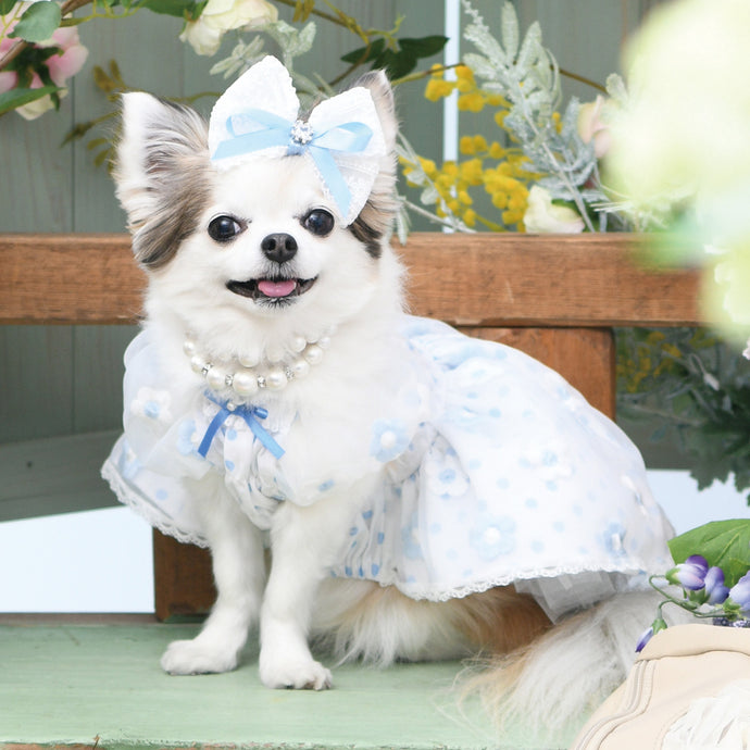 Products – Luxebirdie